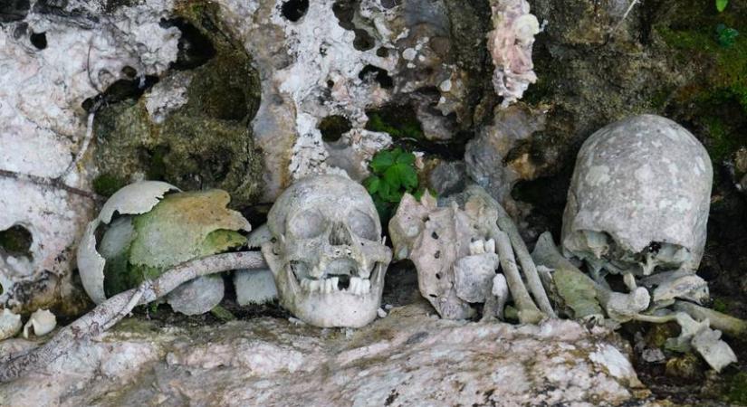Meglepő, mire használták fel a történelem során a csontokat - Öltek és gyógyítottak is velük