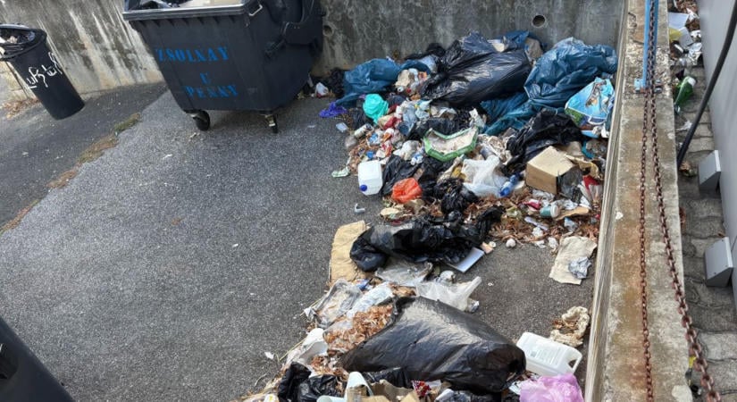Gaz, szemét és elhanyagolt utcák: olvasónk szerint ideje lenne rendet tenni Pécsen!