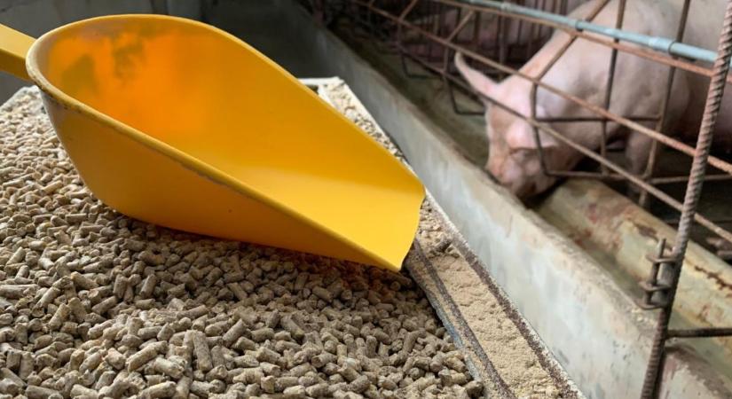 Fordulat az aminosavpiacon: valóban vége az árrobbanásnak?