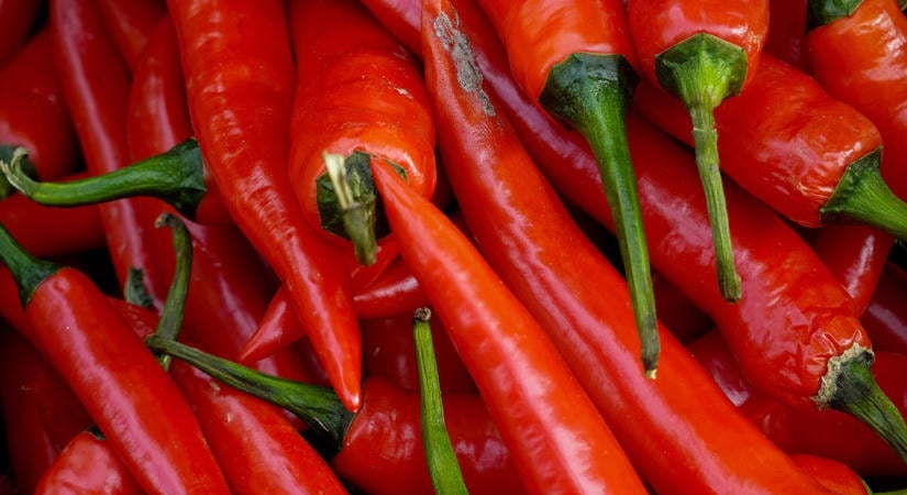 Bedőlt a kamu üzlet: milliós fűszerpaprika-szállítmányt nyelt el a szeghalmi kamuvállalkozó