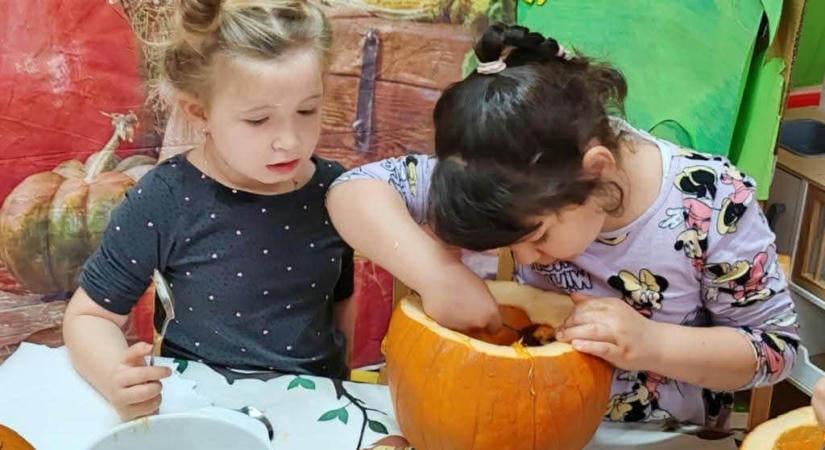 Halloween-i tökkel segítik az állatokat a Klímanócskák