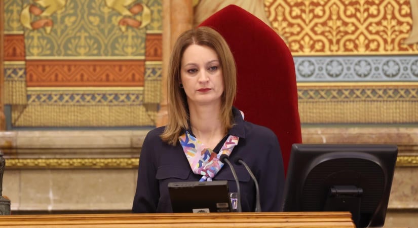 Forsthoffer Ágnes vagyonnyilatkozatából hiányzik a több tízmilliós osztalékot fizető családi cég