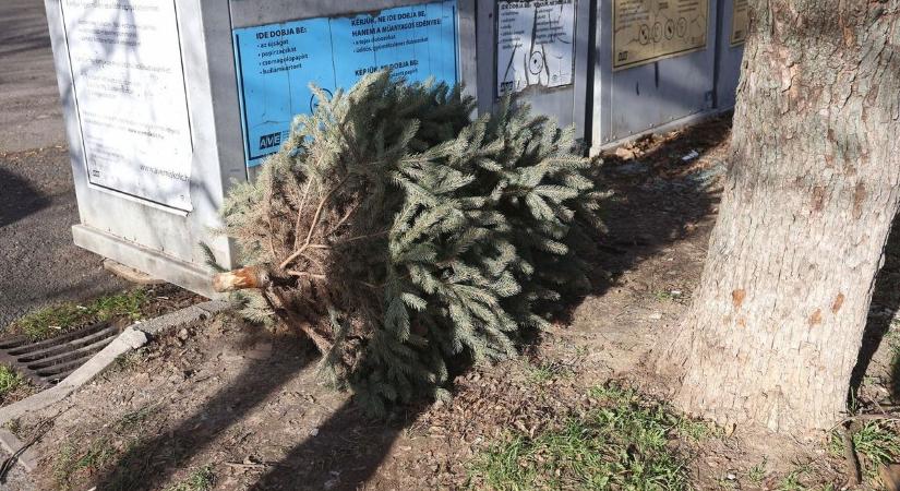 A napkeleti királyok látogatására emlékeznek
