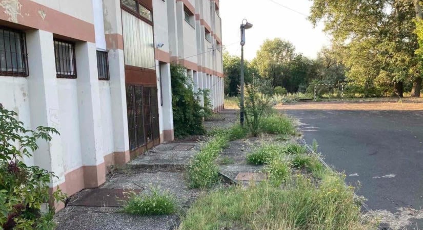 Húsz éve pusztul, pedig száz gyereknek adhatna nyári élményt – megmentenék a sóstói gyerektábort