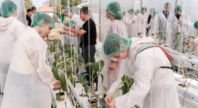 Űrpaprika szabadulószoba, barátkozás a poszméhekkel és high-tech növényház: különleges nyílt napot tartott a DélKerTÉSZ