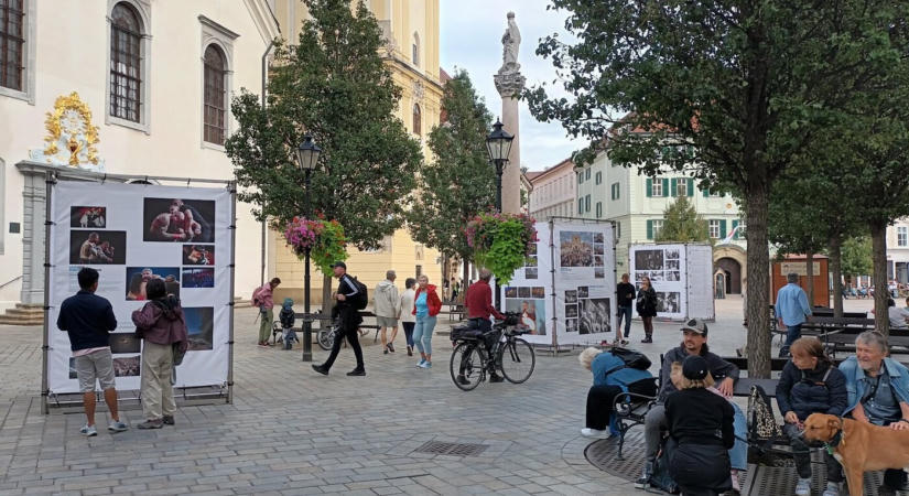 Fókuszban a fotóriporterek, akik megérdemlik a fanfárokat
