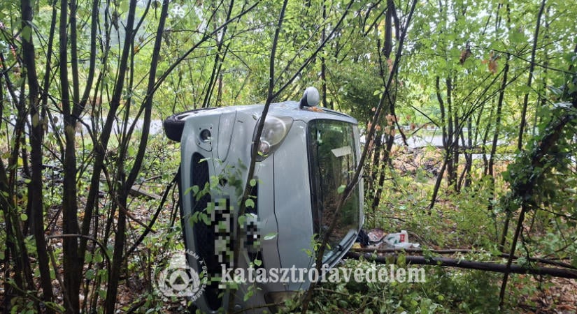 Balesetek, kidőlt fák és lakástűz adott munkát a baranyai tűzoltóknak