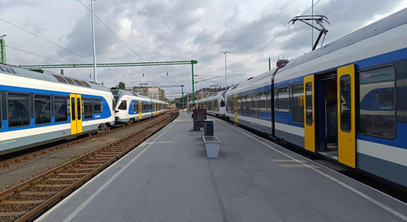 Egy madár miatt lyukadt ki egy mozdony teteje a Déli pályaudvaron