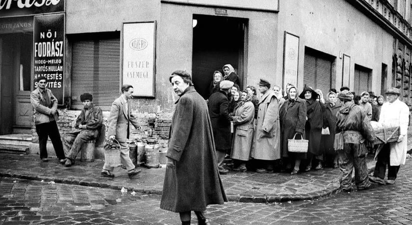 56-os fotókiállítás Bécsben