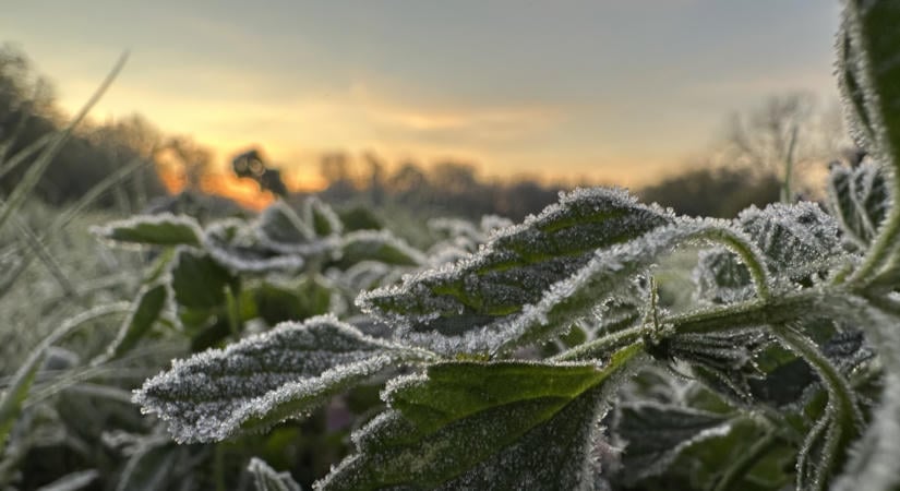 -12 fok alá hűlt a levegő a Bükk-fennsíkon