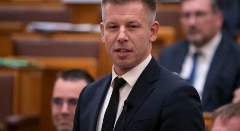 Magyar Péter fogadta az első külföldi vendégeket, több mint 40 delegációt várnak