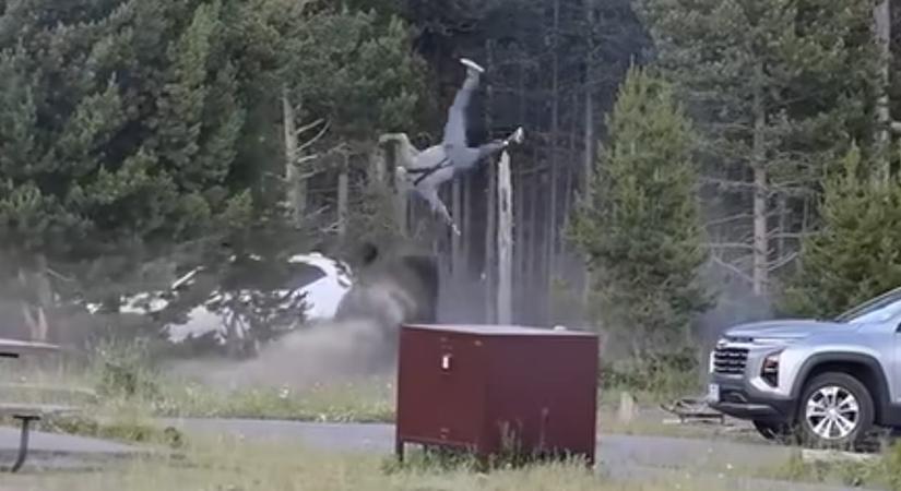 Megszólalt a férfi, akit bölény öklelt fel a Yellowstone parkban
