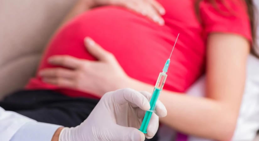 HUN-REN: A várandósság alatti védőoltás kevésbé veszélyes, mint a fertőzés a kutatók szerint