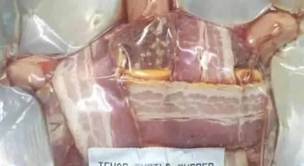 Teknősburger – A nap képe