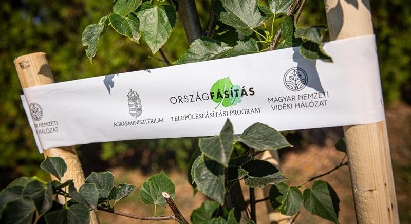 543 településen folytatódott a fásítási program