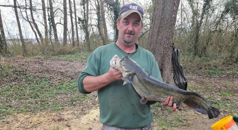 Beindult az őszi horgászat, de a Balatonon komoly akadályba ütköznek a pecások