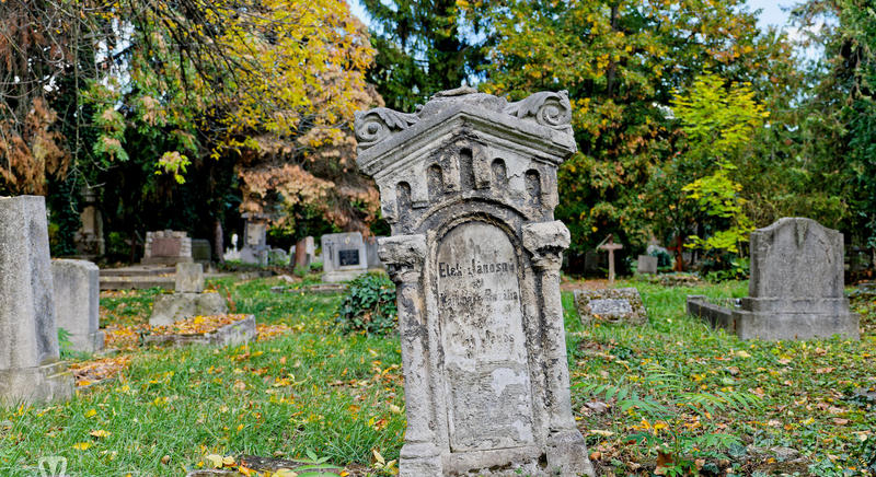 A természetcsend kőből faragott múltzuhataga - Őszi séta a Szent Márton temetőben