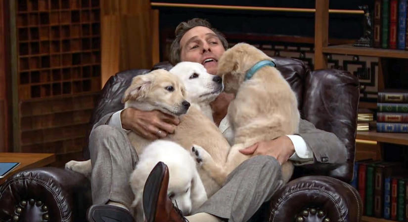 Ennél cukibb ma már nem lesz: Matthew McConaughey-t kiskutyákkal temették be Jimmy Fallon műsorában – fotók