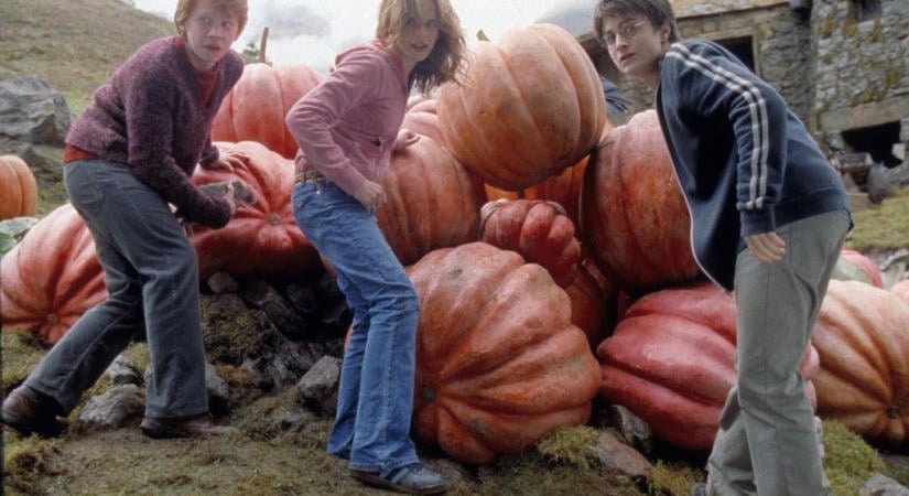 Harry Potter tematikájú oktatási segédletet adott ki a Pécsi Tudományegyetem