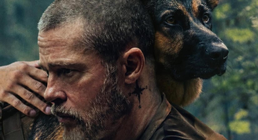 Játssz és NYERJ! 5 páros mozijegy keresi a gazdáját A vadon szíve premier előtti vetítésére