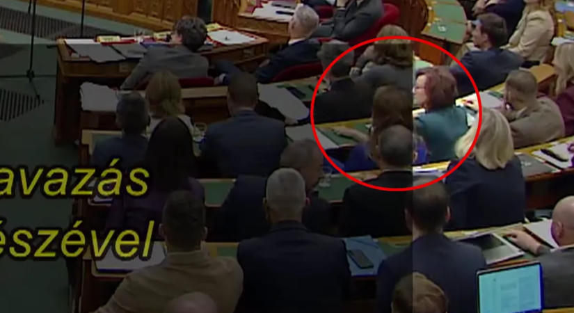 Nem vonták felelősségre Schummer Orsolyát a szavazógomb megnyomása miatt