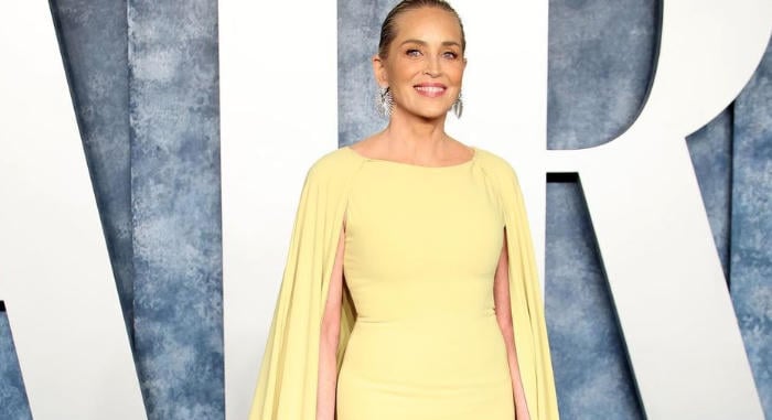 Drámai vallomás: Sharon Stone elárulta, egy daganatos betegség miatt ért véget a házassága
