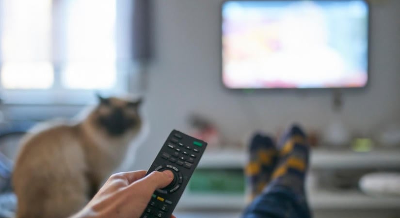 Váratlan bejelentés érkezett: Egyesíti erőit a két népszerű magyar tévécsatorna