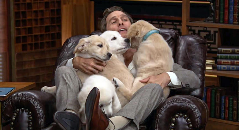 Ennél cukibb ma már nem lesz: Matthew McConaughey-t kiskutyákkal temették be Jimmy Fallon műsorában – fotók