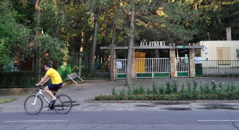 A Zoo Debrecen neve is napirendre került a város közgyűlésének ülésén