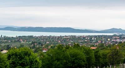 Fokozottan védett erdőrész károsodott egy Balaton-felvidéki építkezés miatt, egy évszázadig is tarthat a regenerációja
