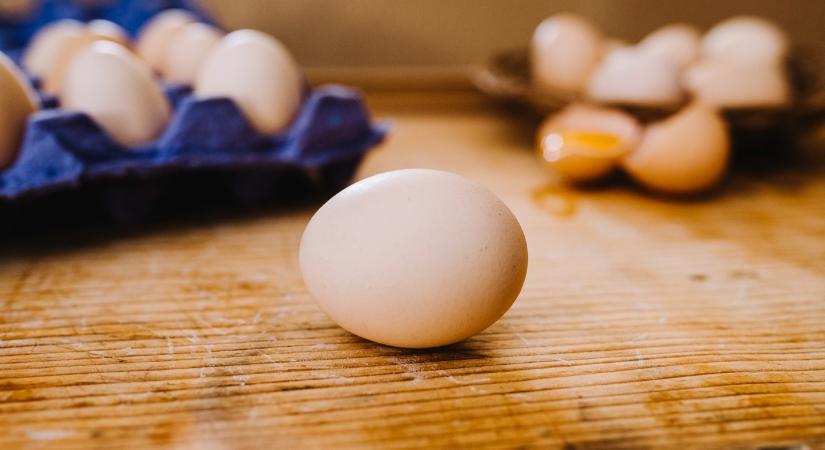 Igyekeznek a magyar tyúkok - nem lesz tojáshiány húsvétkor