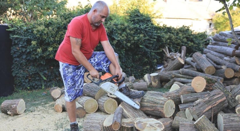 Árcsökkenés van, fa nincs, hiányos a készlet! – Mivel fogunk fűteni ősszel és télen?