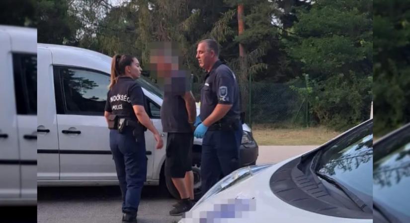 Bokorban rejtőzött a betörő