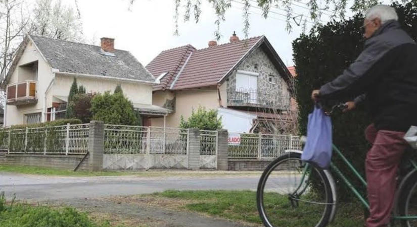Már most készen kell állni a bűzös rovarok inváziójára - hamarosan az egész lakást ellephetik