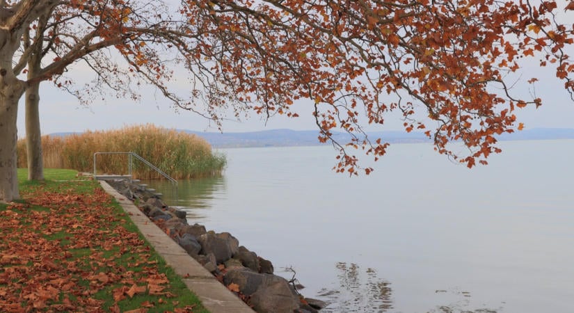 Kutatók kongatják a vészharangot a Balaton-part bolygatása miatt