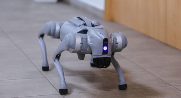 Hello robot! – Kutatók Éjszakája a Gábor Dénes Egyetemen