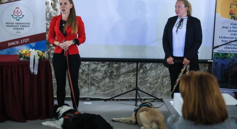 Amikor a törődés mindennél fontosabb: különleges eseménynek adott otthont az egri kórház