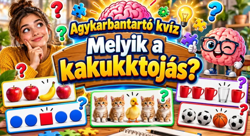 Agykarbantartó kvíz: Melyik a kakukktojás?
