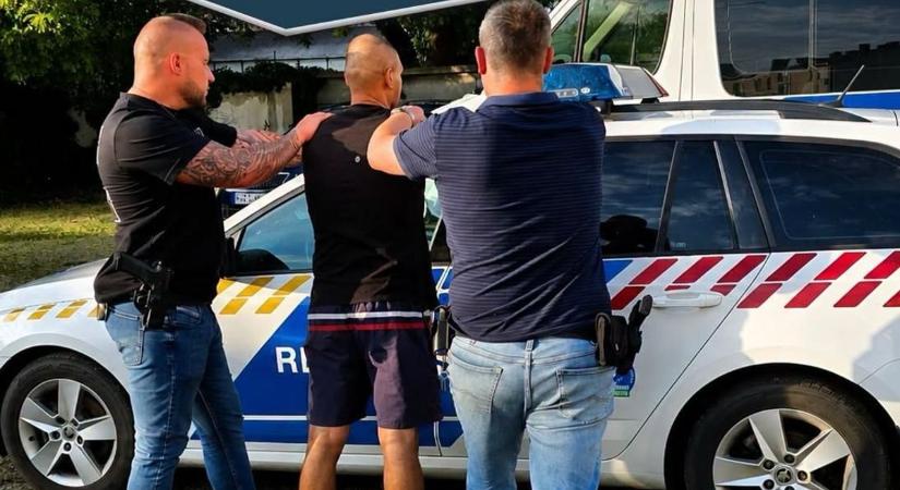 Erdő mélyén bukkantak rá a marihuánaültetvényre, apa és fia is gyanúsított lett