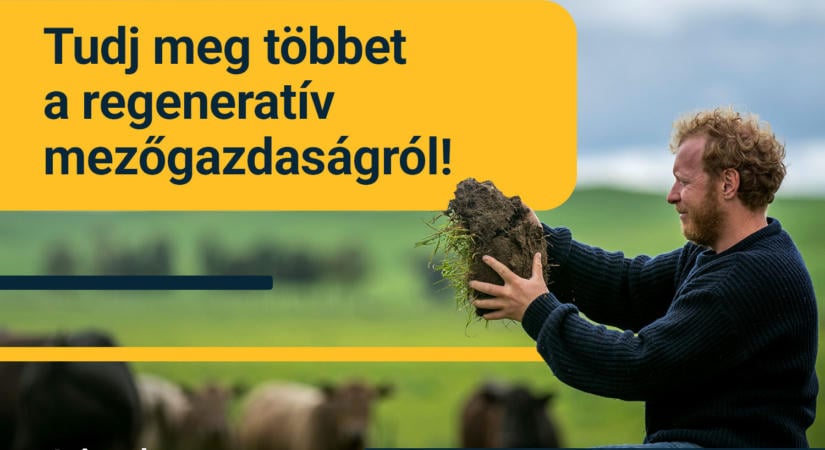 Újra elindítja regeneratív mezőgazdasági képzését Nestlé és a Scale Impact fiatal gazdáknak