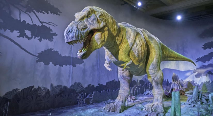 Melegvérűek voltak a Tyrannosaurus rexek