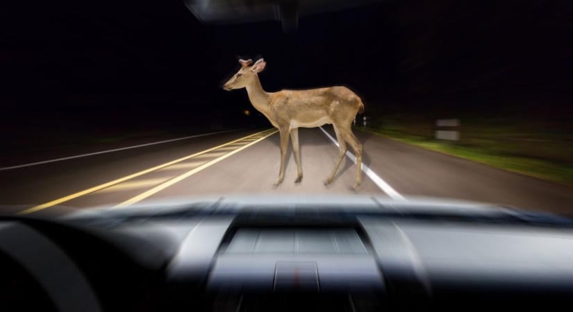 Ezért zárták le hajnalban az M7-es autópályát