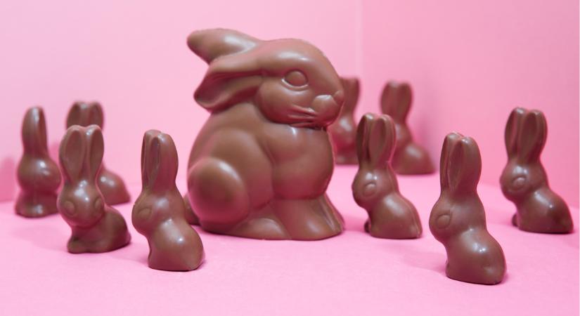 Nem fogy a csokinyuszi: bezárja diósgyőri gyárát a Nestlé, mi lesz a dolgozókkal?