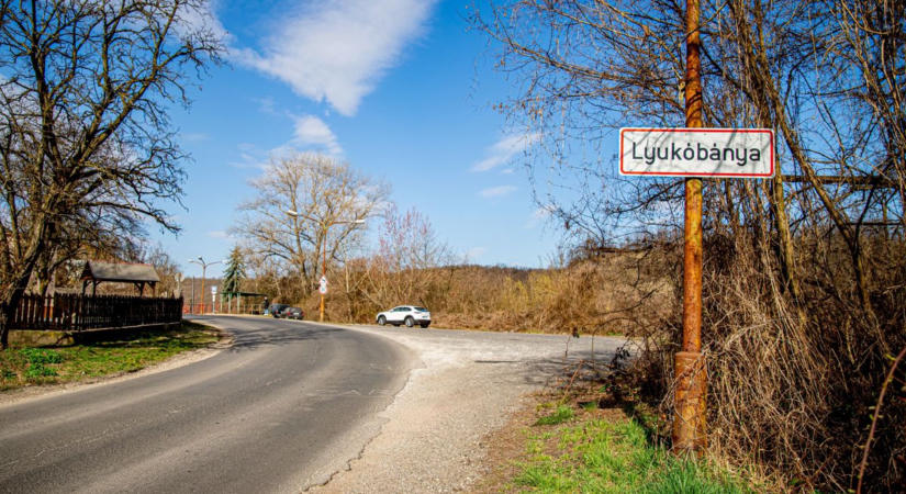 Kutyatámadások miatt tartottak ellenőrzéseket Miskolcon