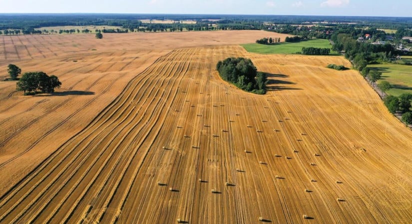 Új agrárpályázat formálódik: a te gazdaságod problémáira is pénzt adhat az EU