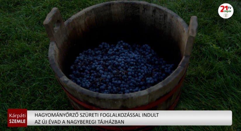 Hagyományőrző szüreti foglalkozással indult az új évad a Nagyberegi Tájházban (videó)