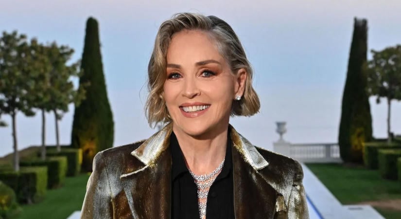 Sharon Stone élete darabokra hullott a sztrók után: Hollywood is hátat fordított neki