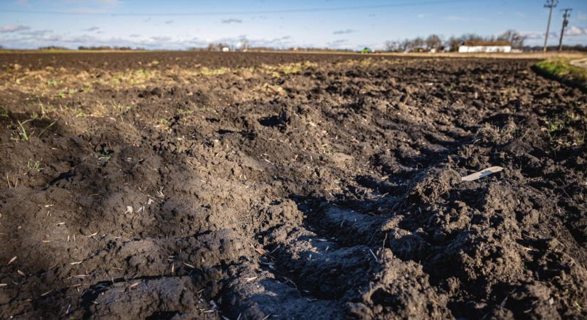 Idegen gép a termőföldön: így védekezhet a gazdálkodó a birtoksértés ellen