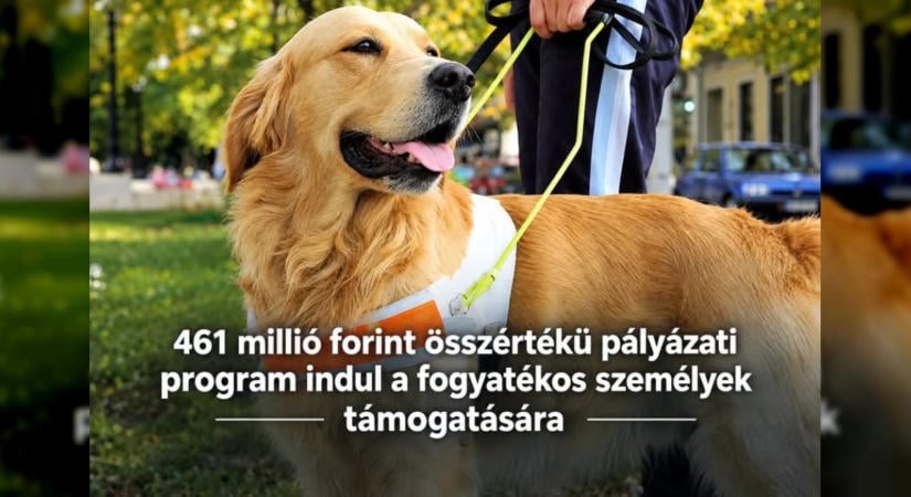 Több mint 460 millió forintos támogatás érkezik a fogyatékossággal élők segítésére