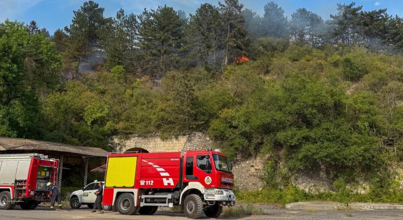 Lángol az avar és a gaz Törökbálint és Kamaraerdő között